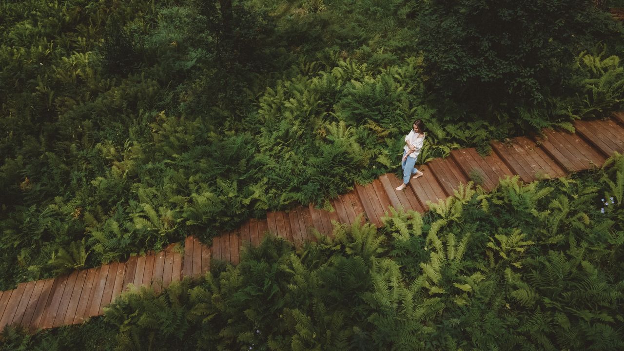 Vrouw loopt over een houten wandelpad tussen varens